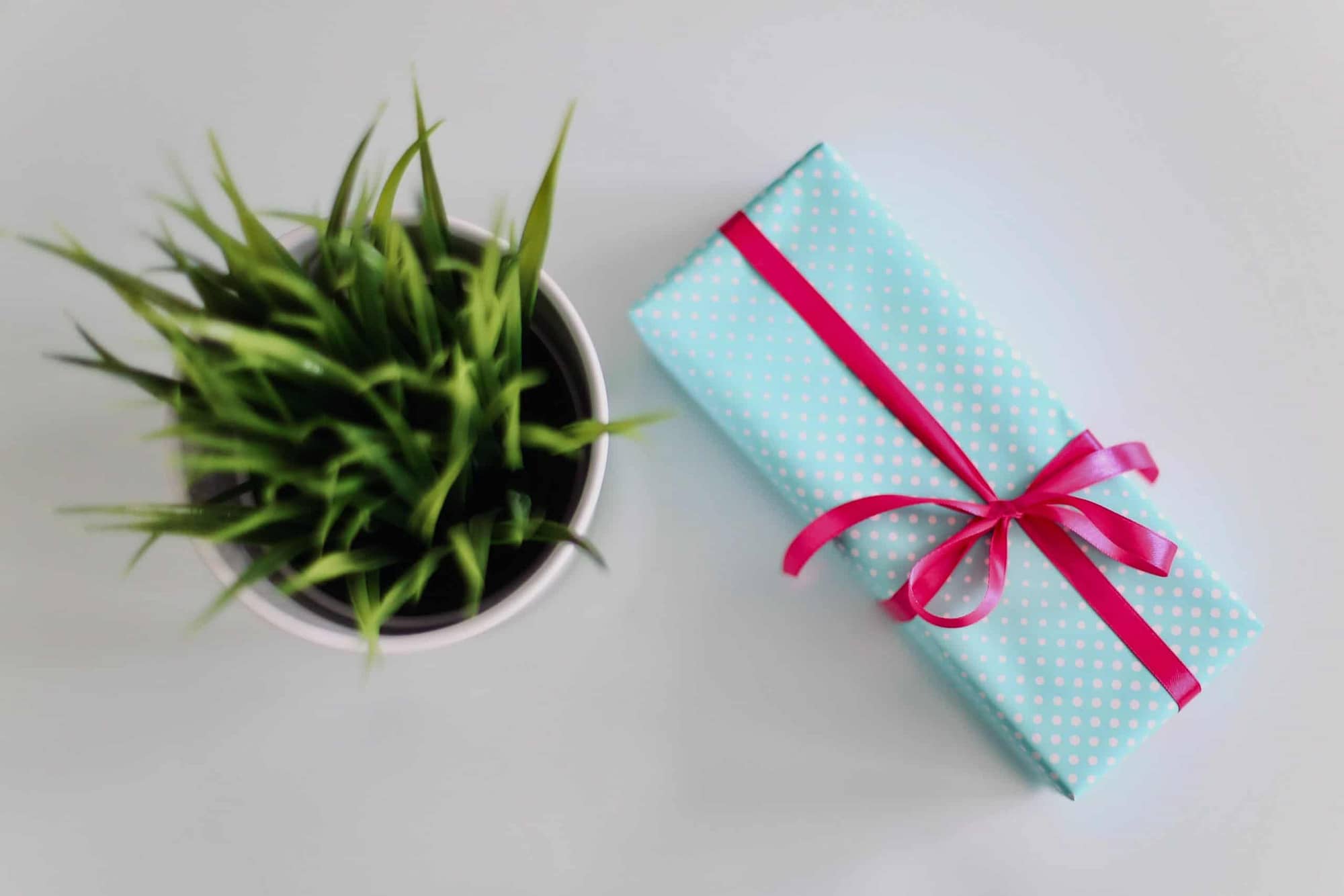How to use raffles and giveaways to grow your business